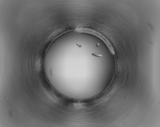 X0000115250216200911131731