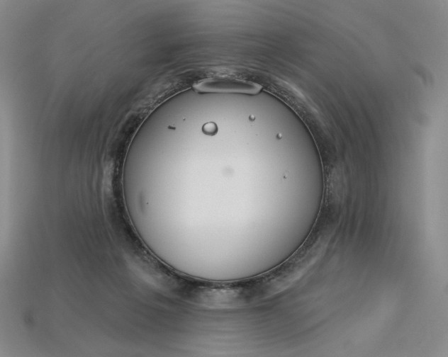 X0000115250217200911131731