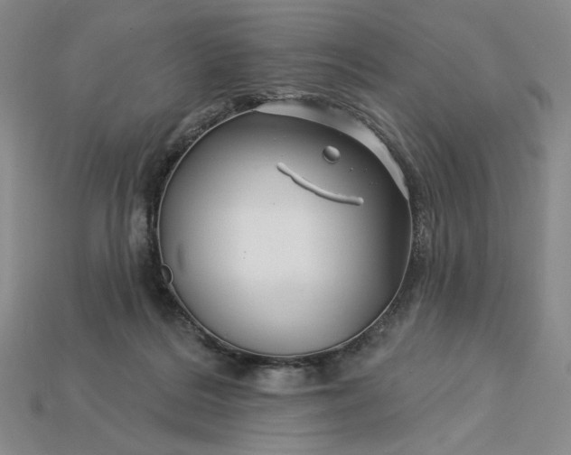 X0000115250220200911131731