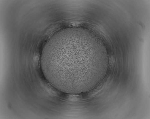 X0000115250222200911131731