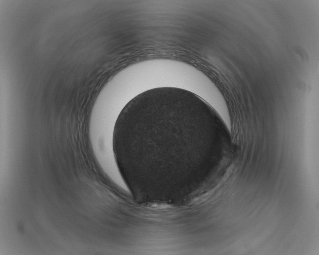 X0000115250223200911131731