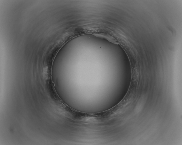 X0000115250224200911131731