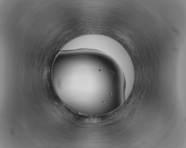 X0000115250225200911131731