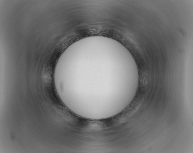 X0000115250226200911131731