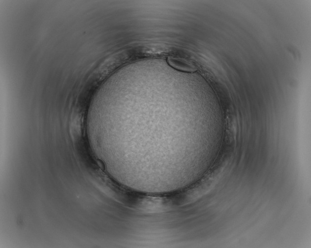 X0000115250227200911131731