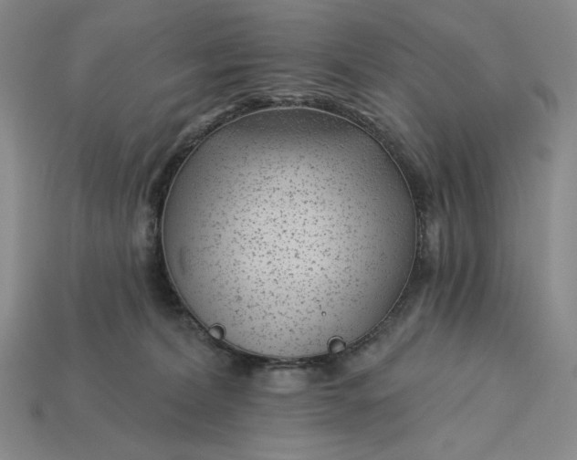 X0000115250228200911131731