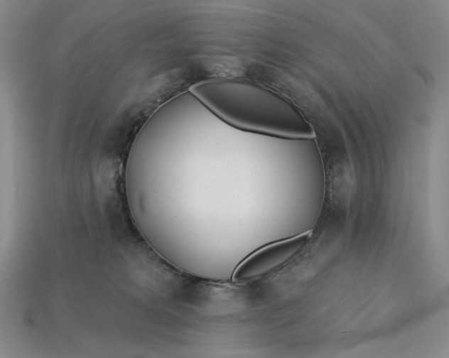 X0000115250229200911131731