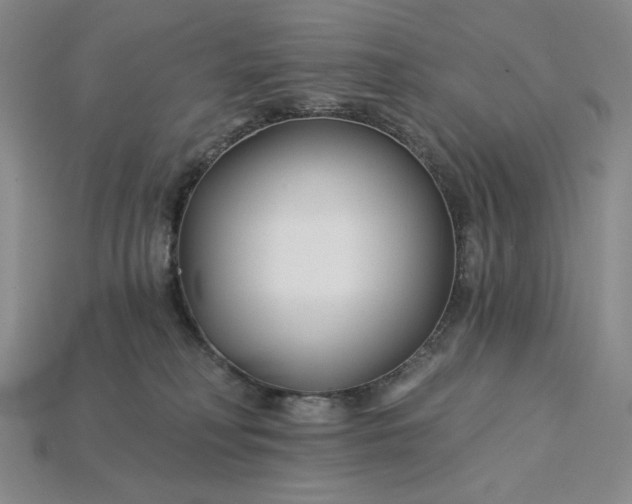 X0000115250230200911131731