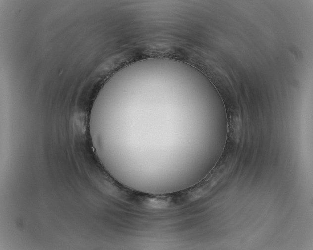 X0000115250232200911131731