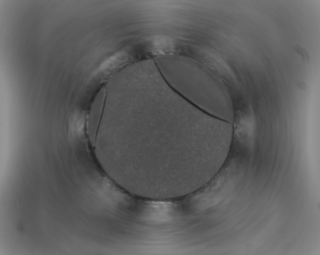 X0000115250233200911131731