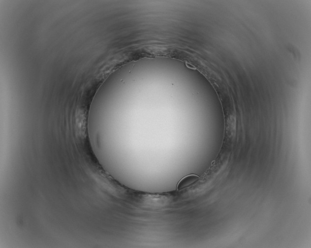 X0000115250234200911131731