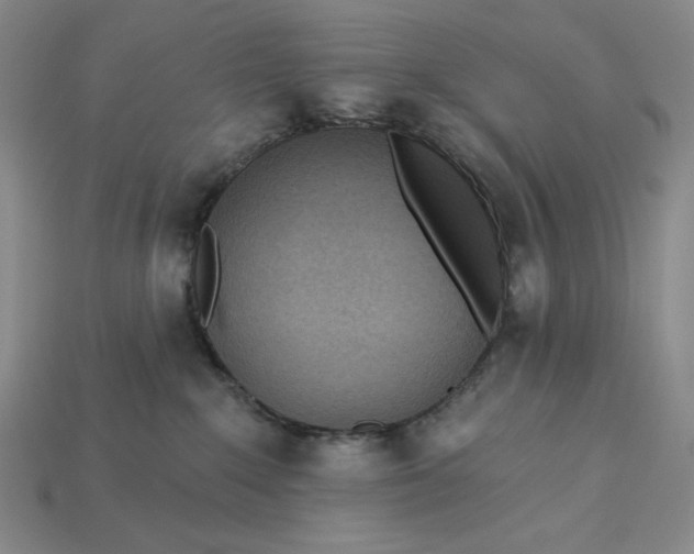 X0000115250235200911131731