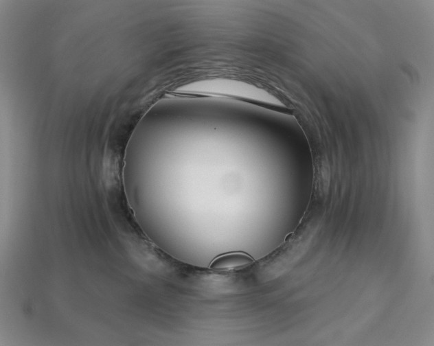 X0000115250236200911131731