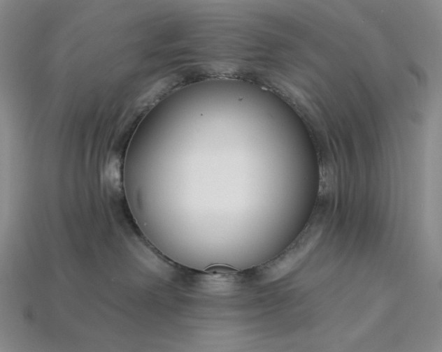 X0000115250238200911131731