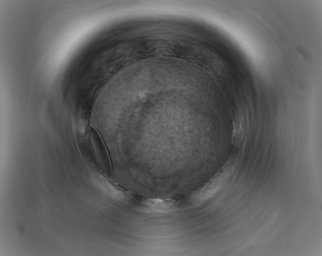 X0000115250239200911131731