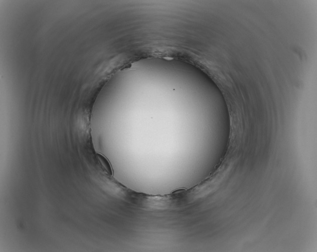 X0000115250240200911131731