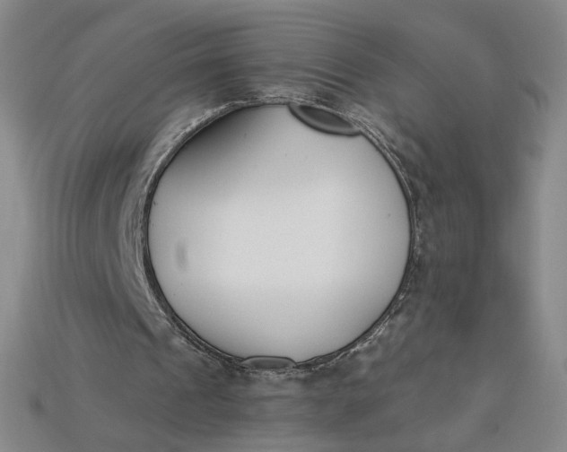 X0000115250241200911131730