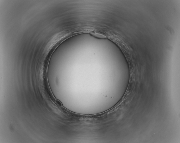 X0000115250242200911131730