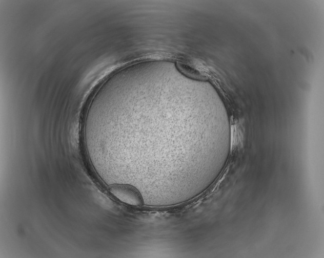 X0000115250243200911131730