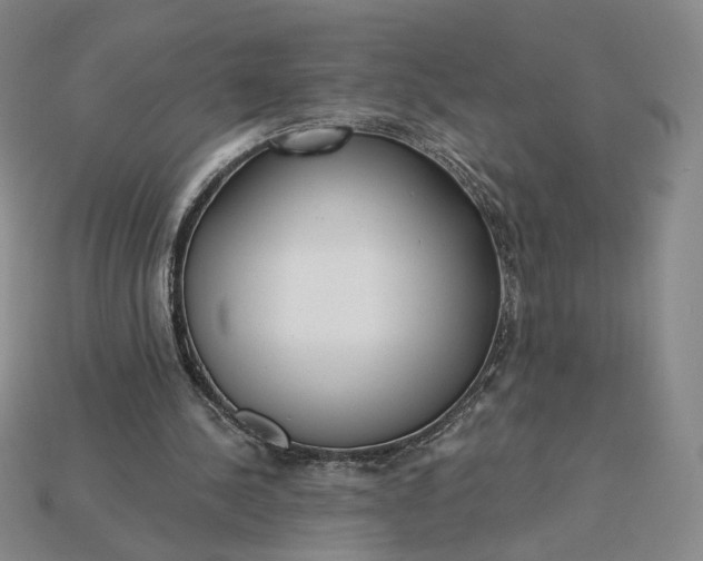 X0000115250244200911131730