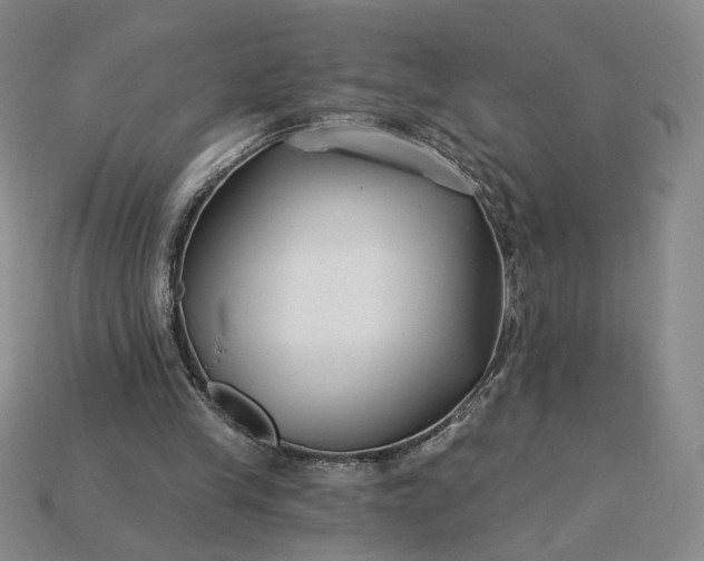 X0000115250245200911131730