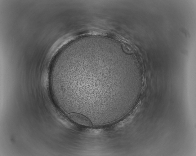 X0000115250247200911131730