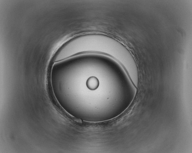 X0000115250248200911131731