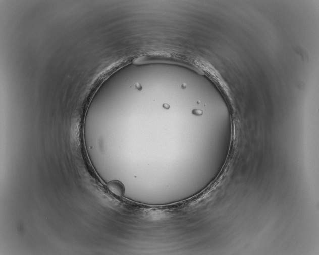 X0000115250249200911131731