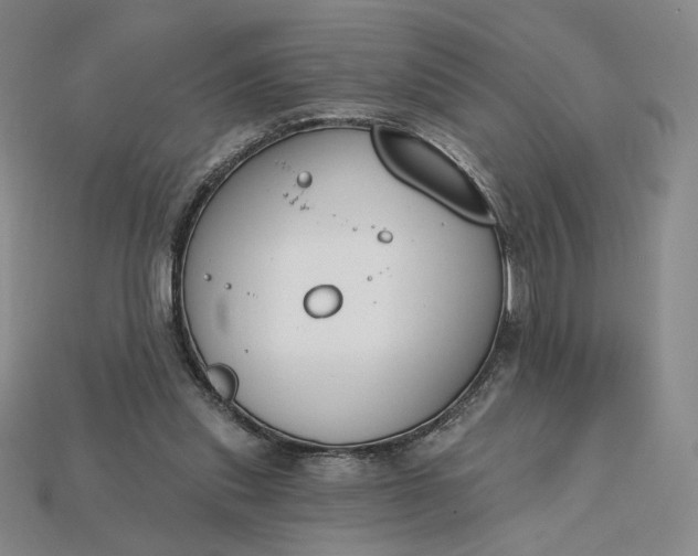 X0000115250253200911131731