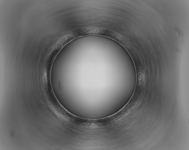 X0000115250254200911131731