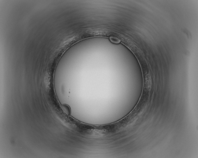 X0000115250255200911131731