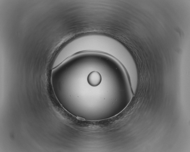 X0000115250256200911131731