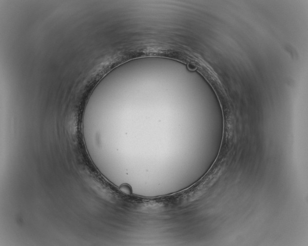 X0000115250257200911131731