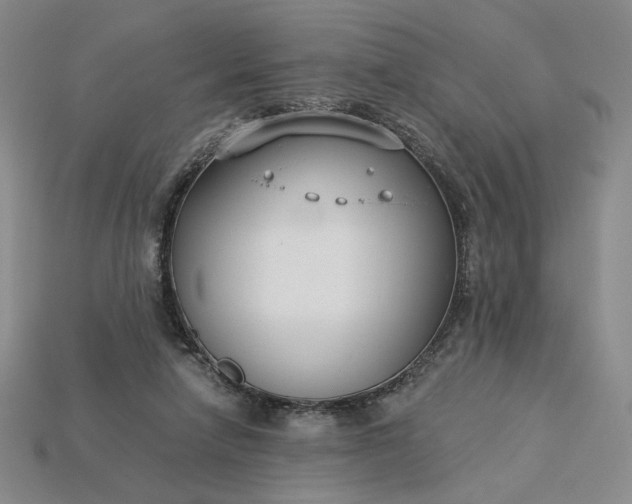 X0000115250258200911131731