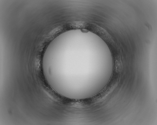 X0000115250259200911131731