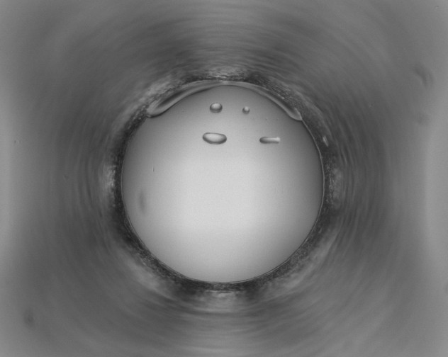 X0000115250260200911131731