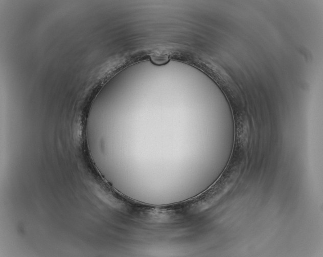 X0000115250261200911131731