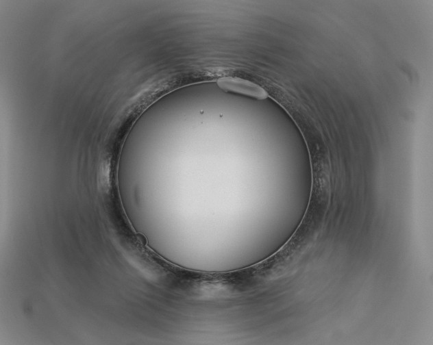 X0000115250262200911131731