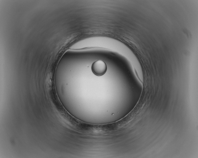 X0000115250264200911131731