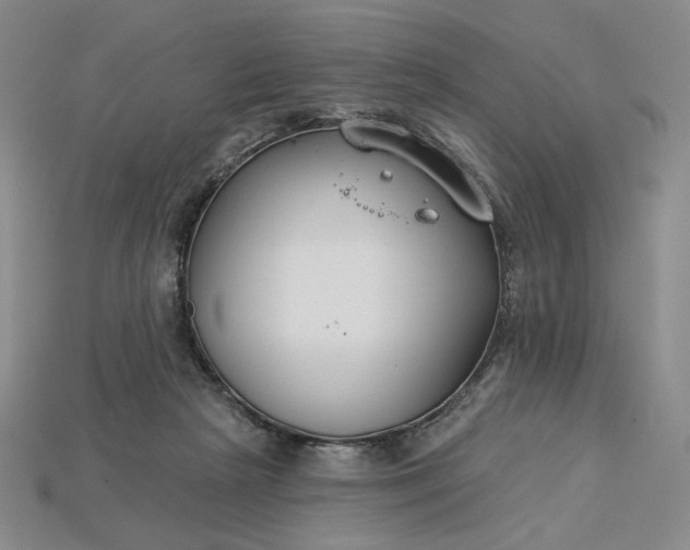 X0000115250265200911131731