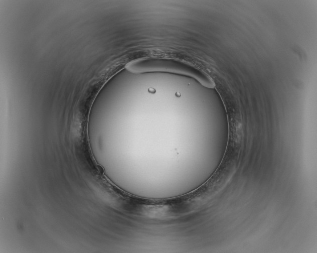 X0000115250266200911131731