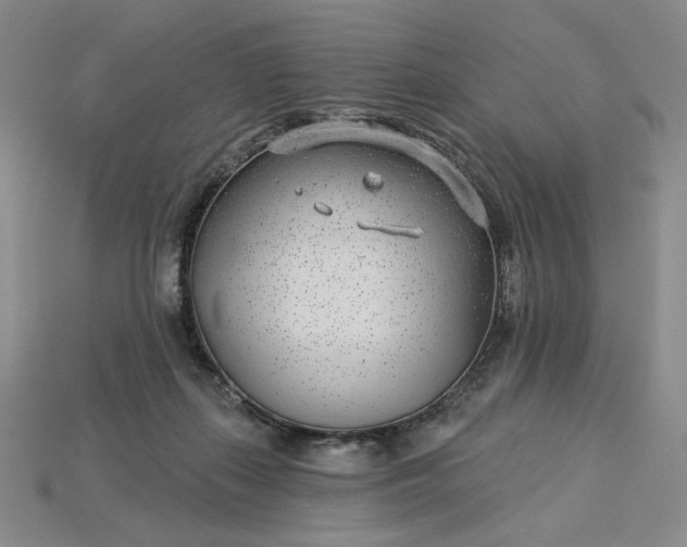 X0000115250267200911131731