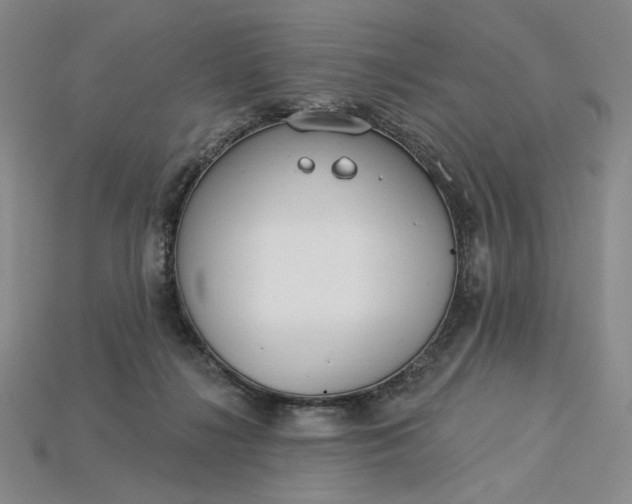 X0000115250268200911131731