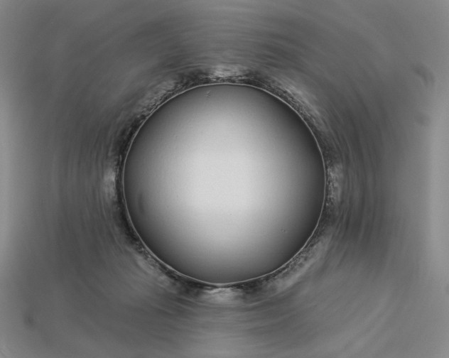 X0000115250269200911131731