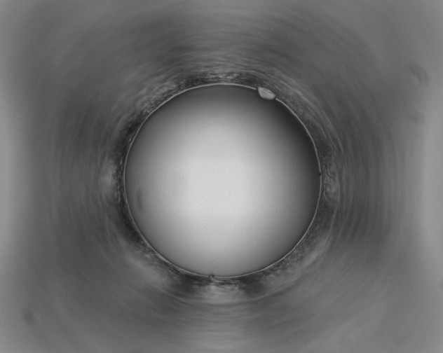 X0000115250270200911131731