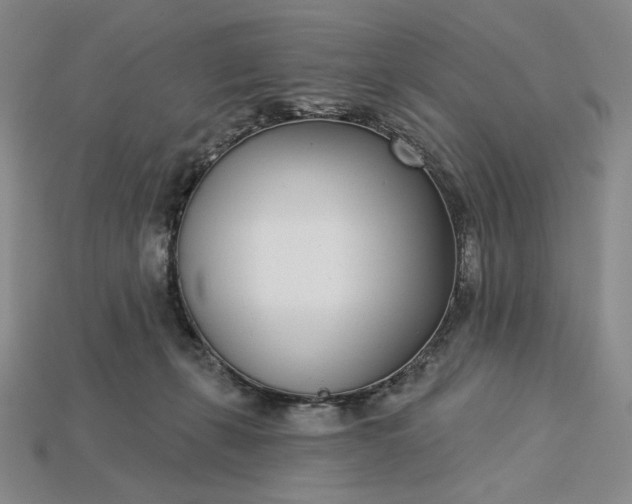 X0000115250271200911131731