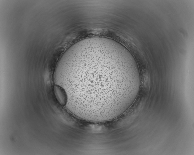 X0000115250272200911131731