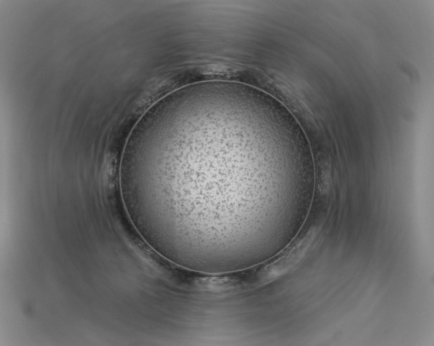 X0000115250273200911131731