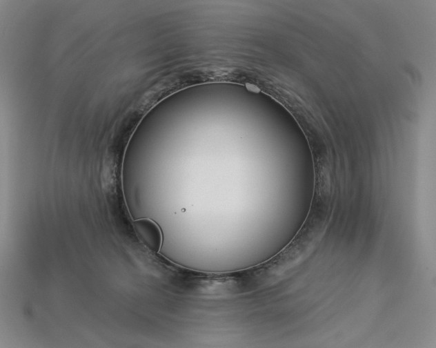 X0000115250274200911131731