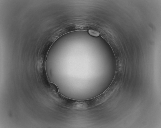 X0000115250275200911131731